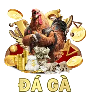 Đá Gà dr88 casino